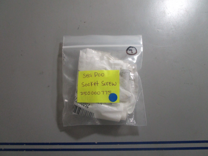 *NEW* 0810 Sea-Doo Socket Screw 250000775