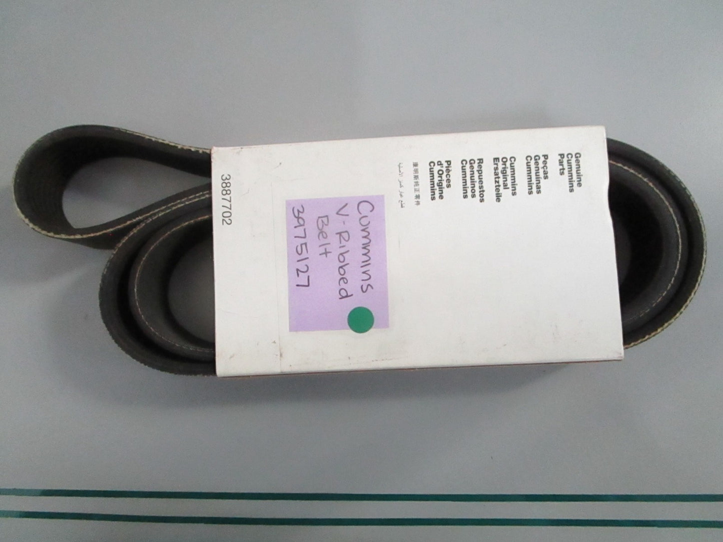 NEW OEM 3975127 Cummins V-Ribbed Belt 0820
