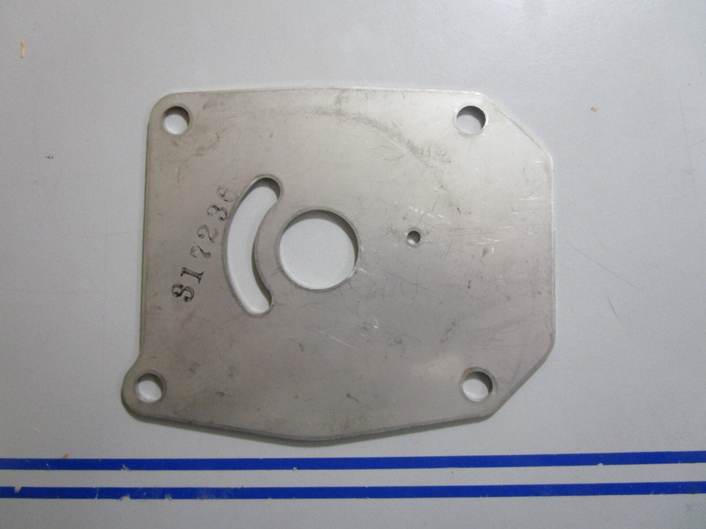 *NEW OEM* 0810 OMC Johnson Evinrude Water Pump Plate 317236 0317236