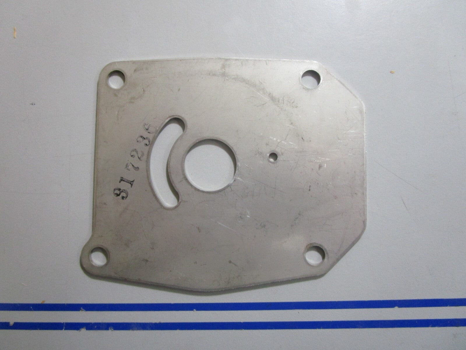*NEW OEM* 0810 OMC Johnson Evinrude Water Pump Plate 317236 0317236