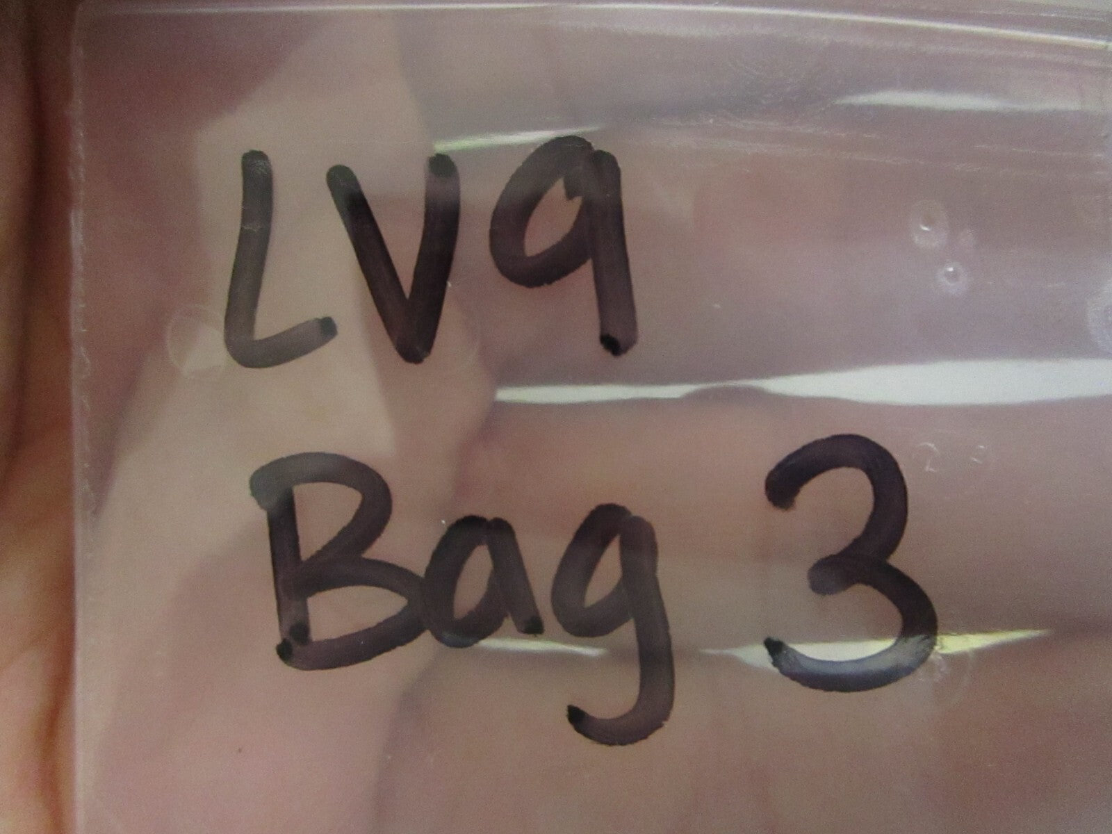 *NEW OEM* 0750 Honda SEAL 91211-KN7-671