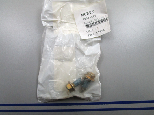*NEW OEM* (LOT OF 2) 0810 Arctic Cat Cap Screw 1623-480