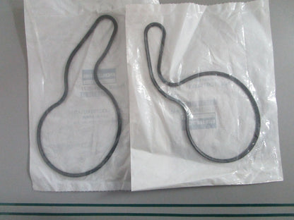 NEW OEM (LOT OF 2) 5812571 Polaris Water Pump Cover Seal 0820