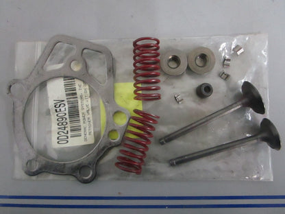 NEW OEM 0D24890ESV Generac Retainer Valve Kit 0820