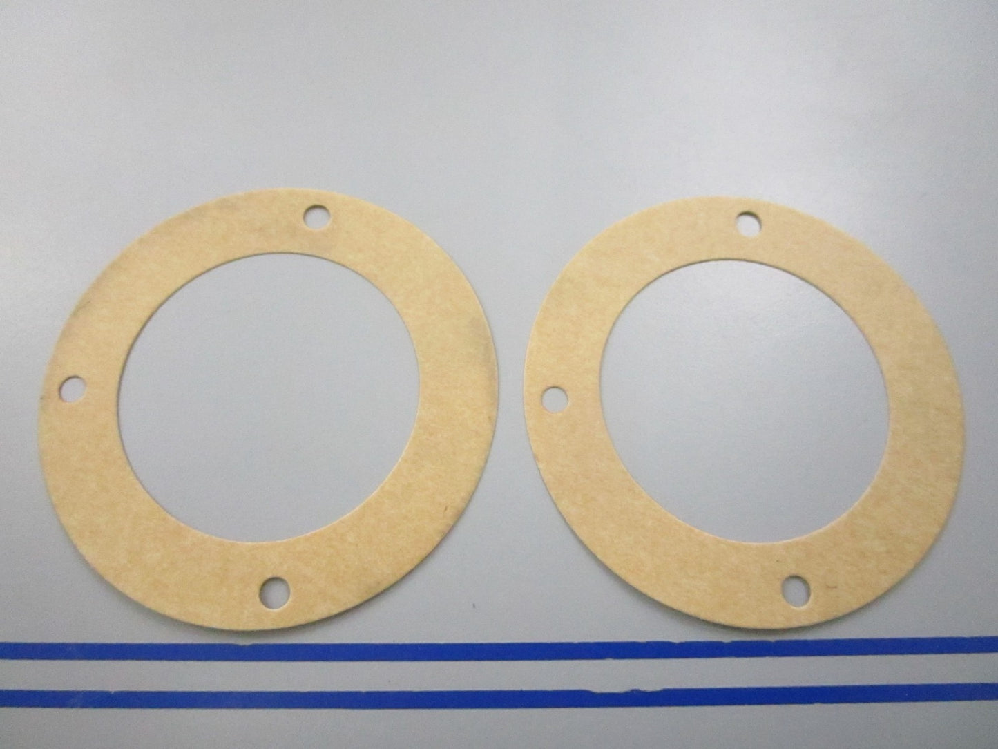 NEW OEM (LOT OF 12) 17472-93100 Suzuki Water Plate Gasket 0810