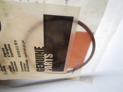 *NEW OEM* 0810 Cummins O-Ring 367824