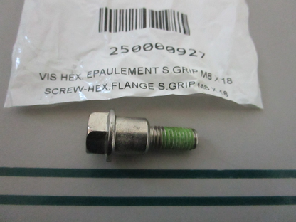 NEW 250000927 Sea-Doo Hex Flange Screw 0810