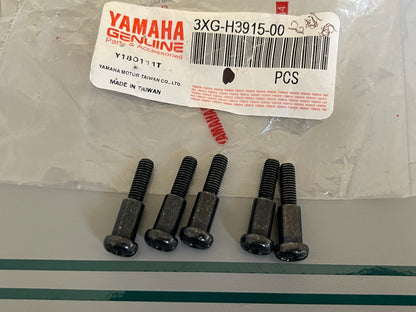 NEW OEM (LOT OF 5) 3XG-113915-00-00 Yamaha Lever Fitting Screw 0810