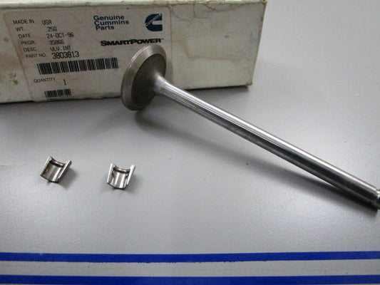*NEW OEM* 0810 Cummins Intake Valve 3803813
