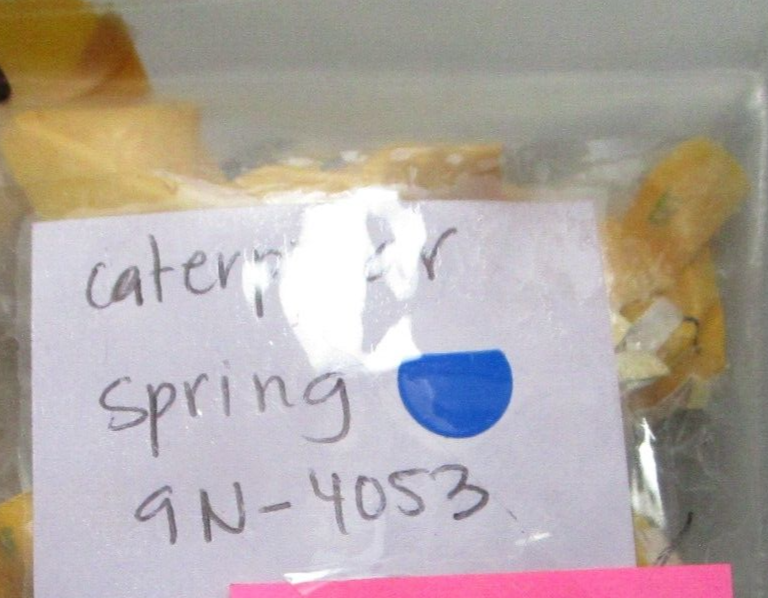 *NEW OEM* 0720 Cat Caterpillar Spring 9N-4053 9N4053