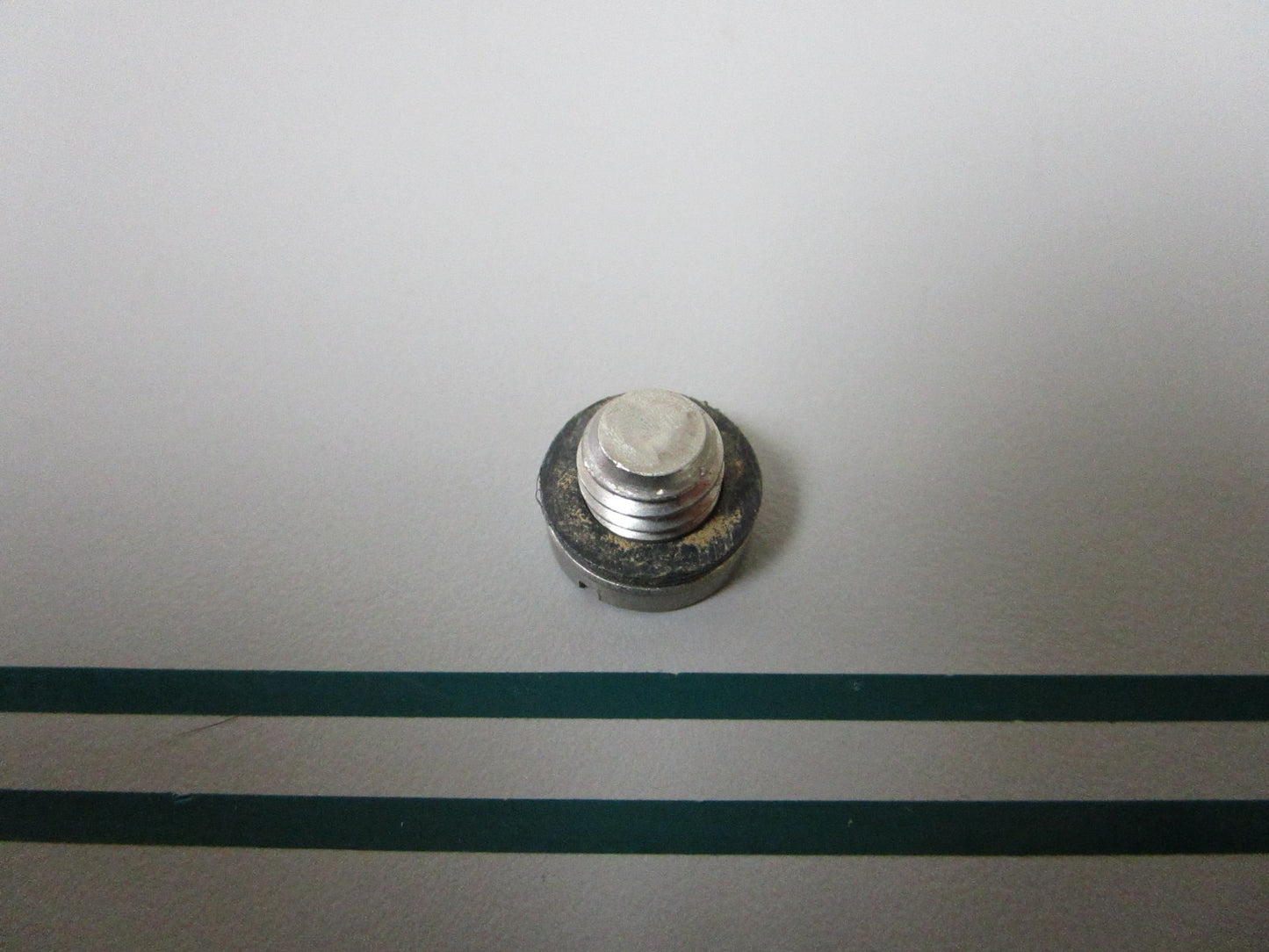 NEW OEM 307551 0307551 OMC Johnson Evinrude Drain Plug Screw 0810