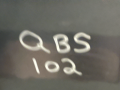 *NEW OEM* 0670 OMC Johnson Evinrude Worn Wheel 308806 0308806