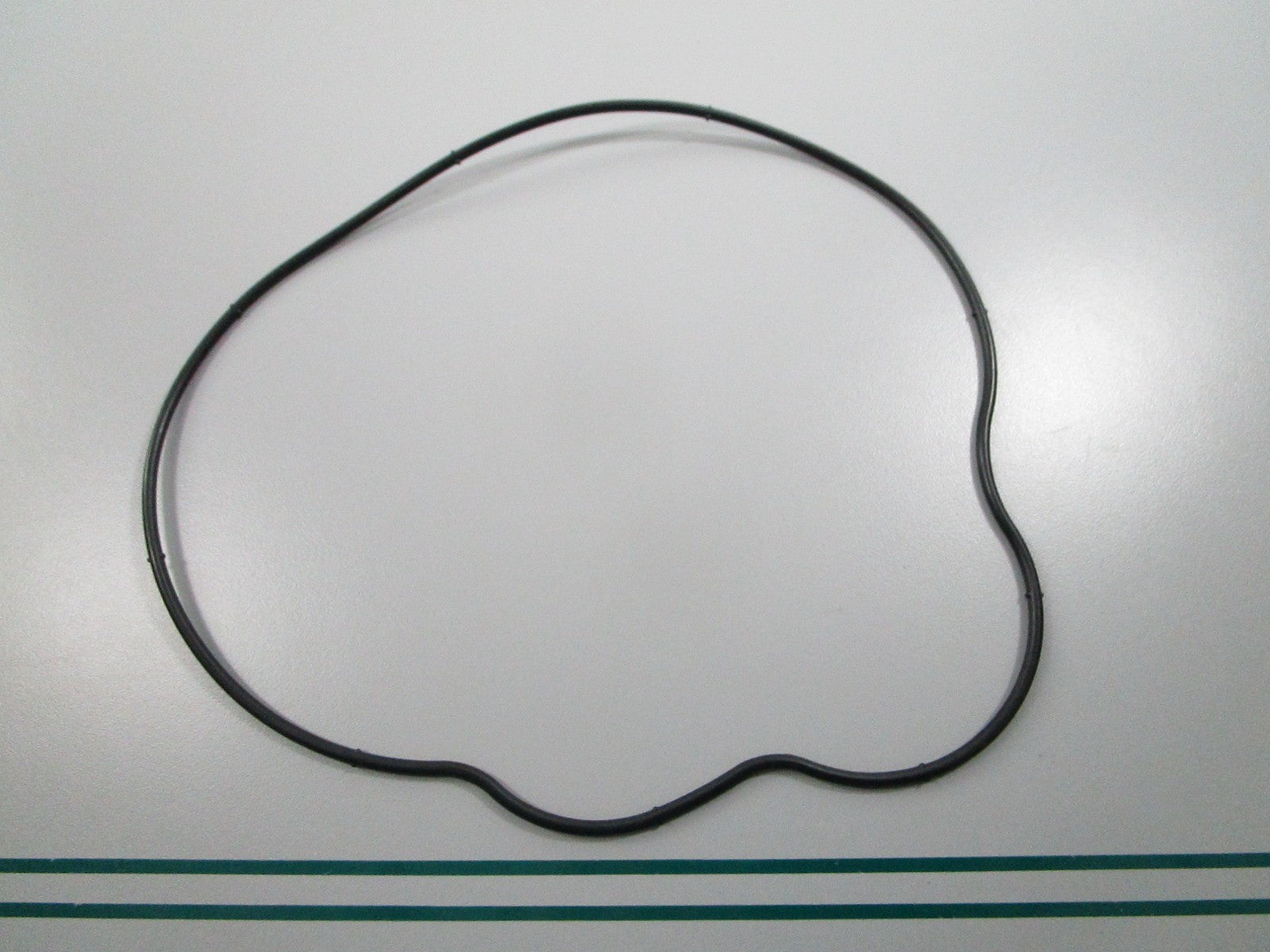 NEW OEM 5412458 Polaris O-Ring 0810