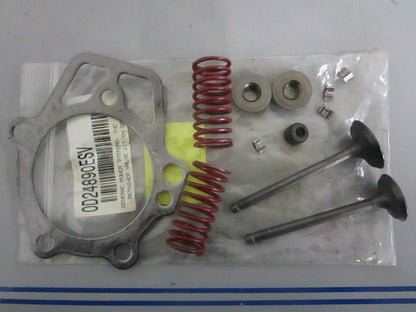 NEW OEM 0D24890ESV Generac Retainer Valve Kit 0820