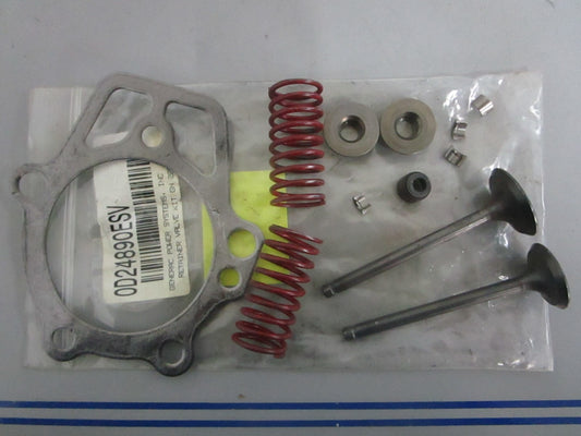 NEW OEM 0D24890ESV Generac Retainer Valve Kit 0820