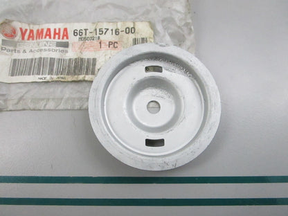 NEW OEM 66T-15716-00-00 Yamaha Drive Plate 0810