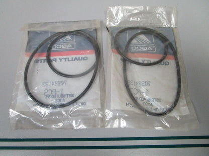 NEW OEM (LOT OF 2) 70924138 AGCO O-Ring 0810