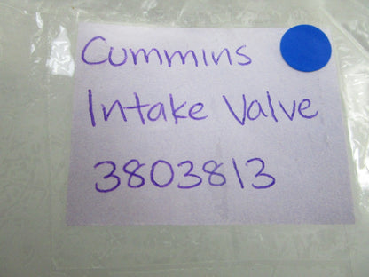 *NEW OEM* 0810 Cummins Intake Valve 3803813