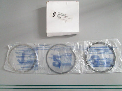 NEW OEM 2202393 Polaris Piston Ring Kit 0820