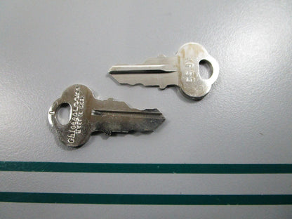 NEW OEM (LOT OF 2) 501570 0501570 OMC Johnson Evinrude Ignition Key KF55 0810