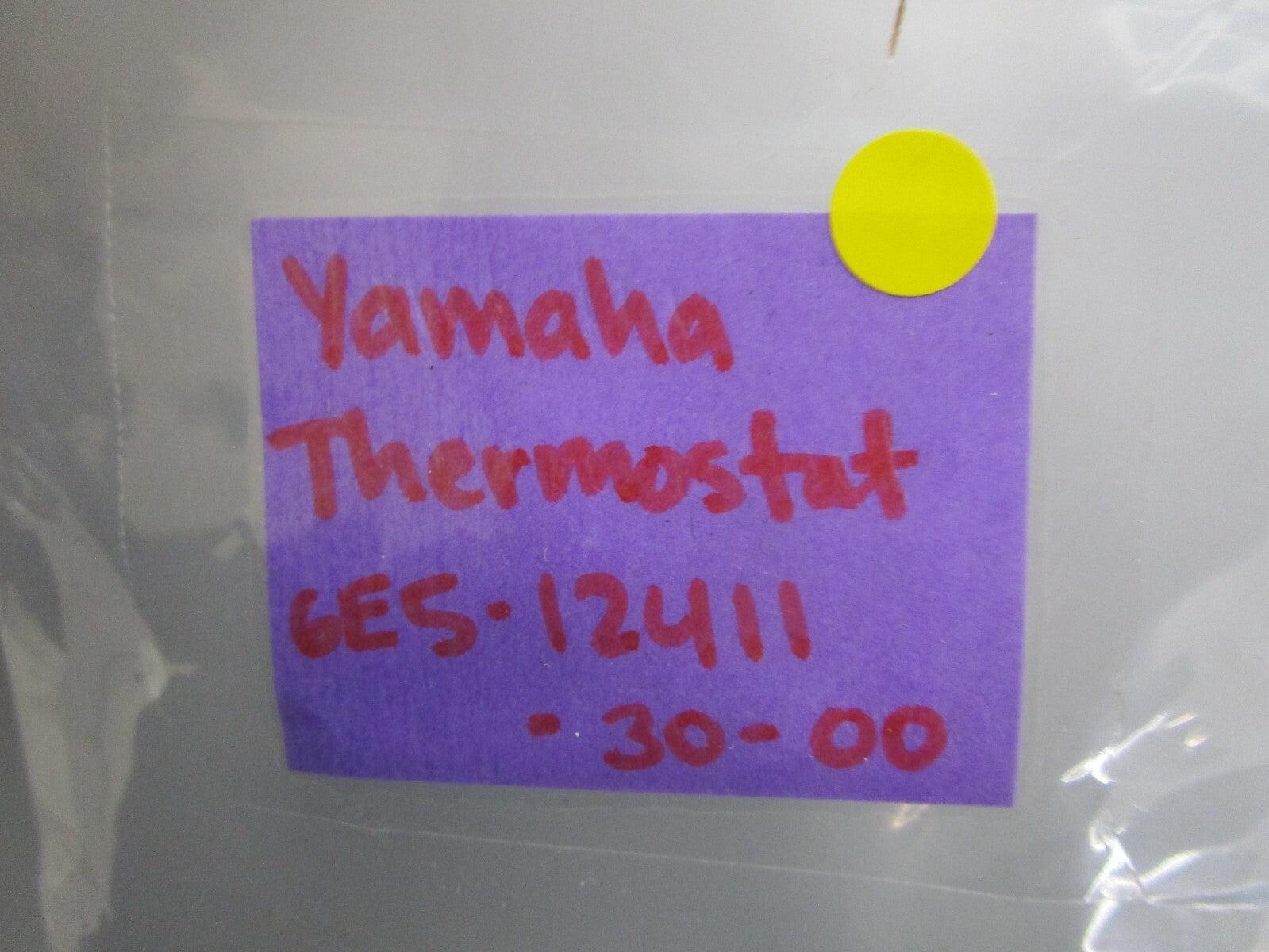 *NEW OEM* 0810 Yamaha Thermostat 6E5-12411-30-00