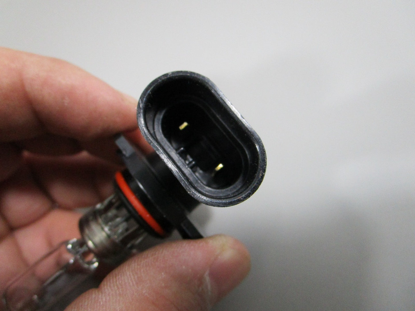 NEW OEM 219800136 Can-Am Halogen Bulb 0810