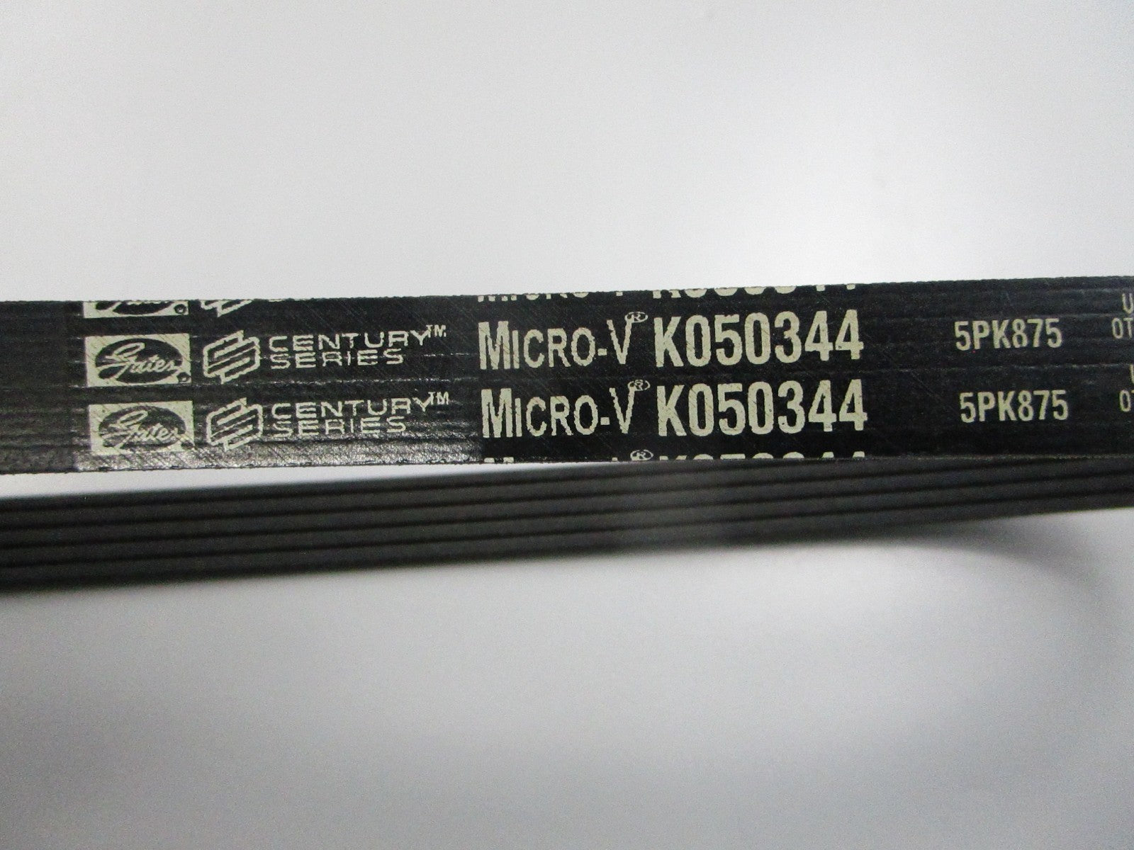 NEW K050344 Gates Micro-V Serpentine Belt 0810