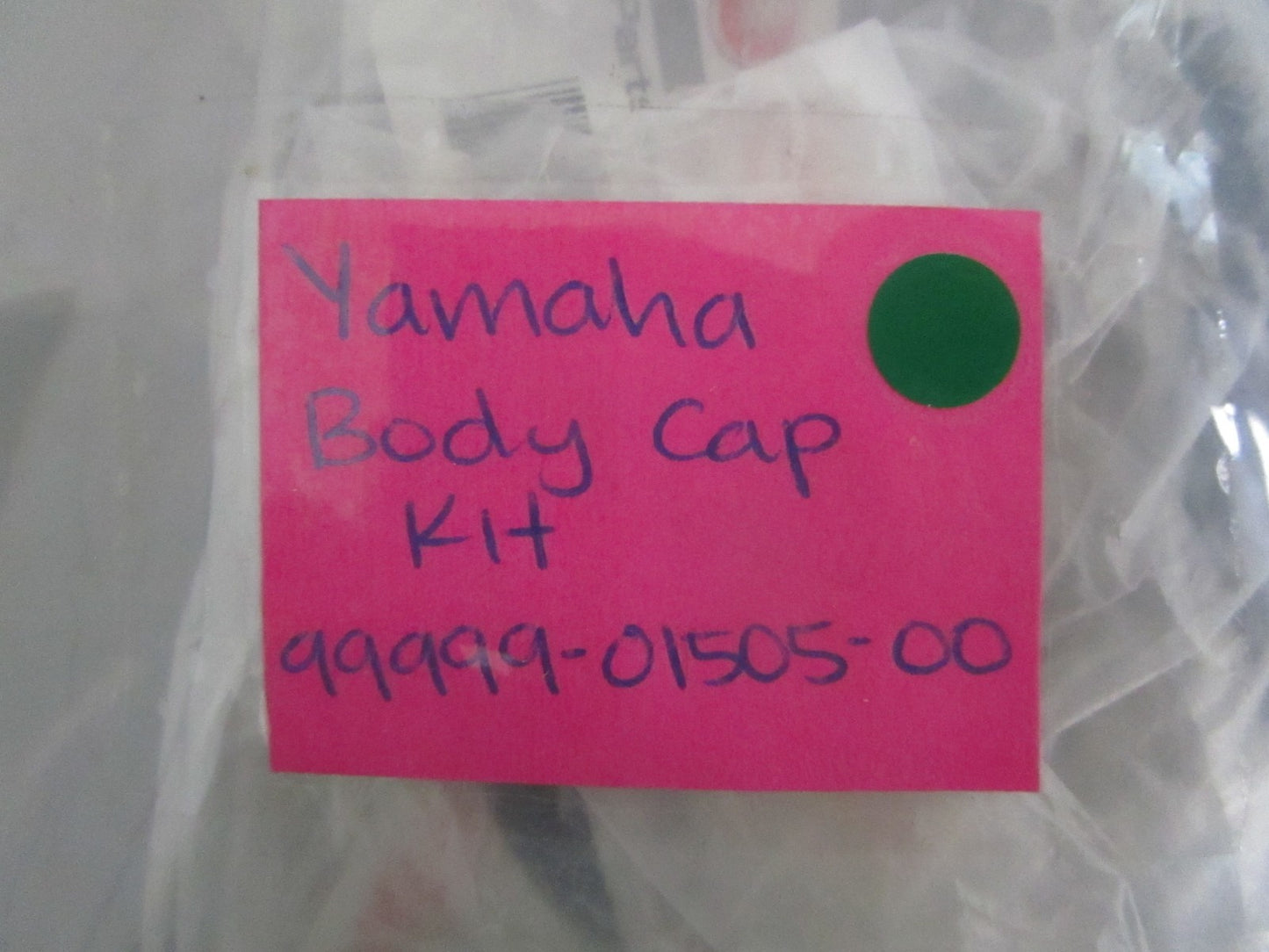 NEW OEM 99999-01505-00 Yamaha Body Cap Kit 0820
