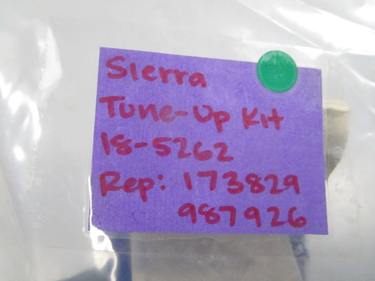 NEW 18-5262 Replaces: 173829 987926 Sierra Tune-Up Kit 0810