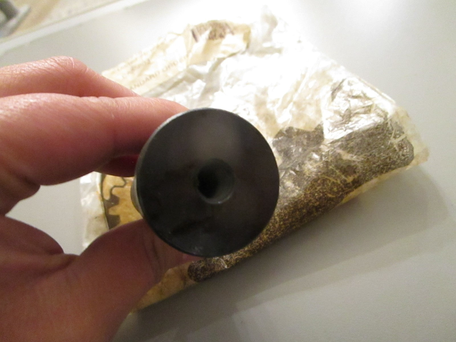 NEW OEM 119047 Crown Spring Ram 0720