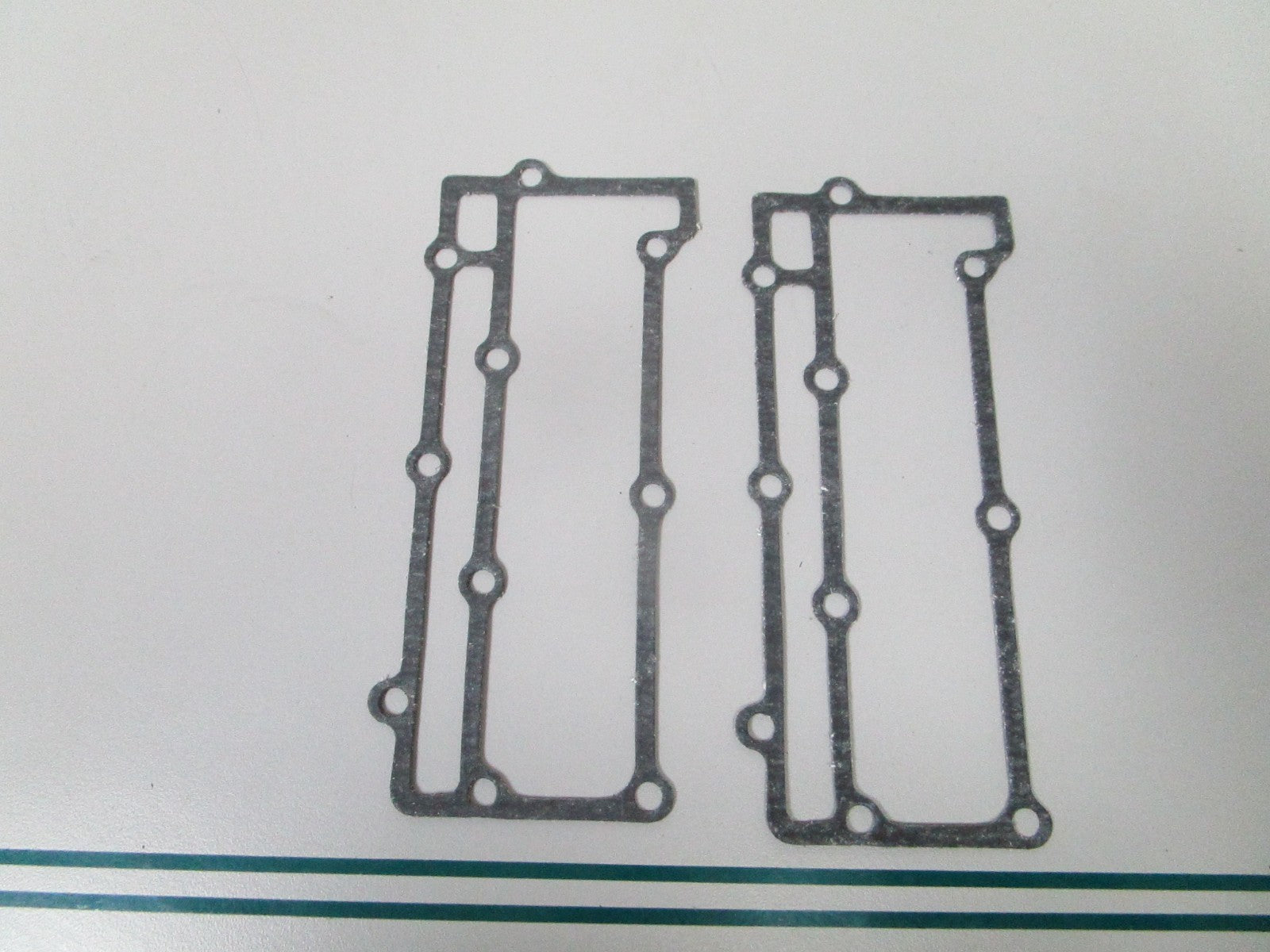 NEW OEM (LOT OF 2) 202580 0202580 OMC Johnson Evinrude Gasket 0810