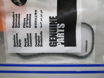 *NEW OEM* 0810 Cummins Water Seal 3683607