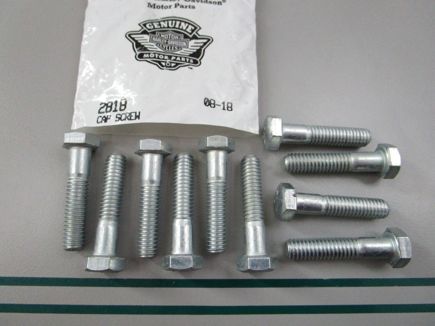 NEW OEM (LOT OF 10) 2818 Harley Davidson Screw 0810