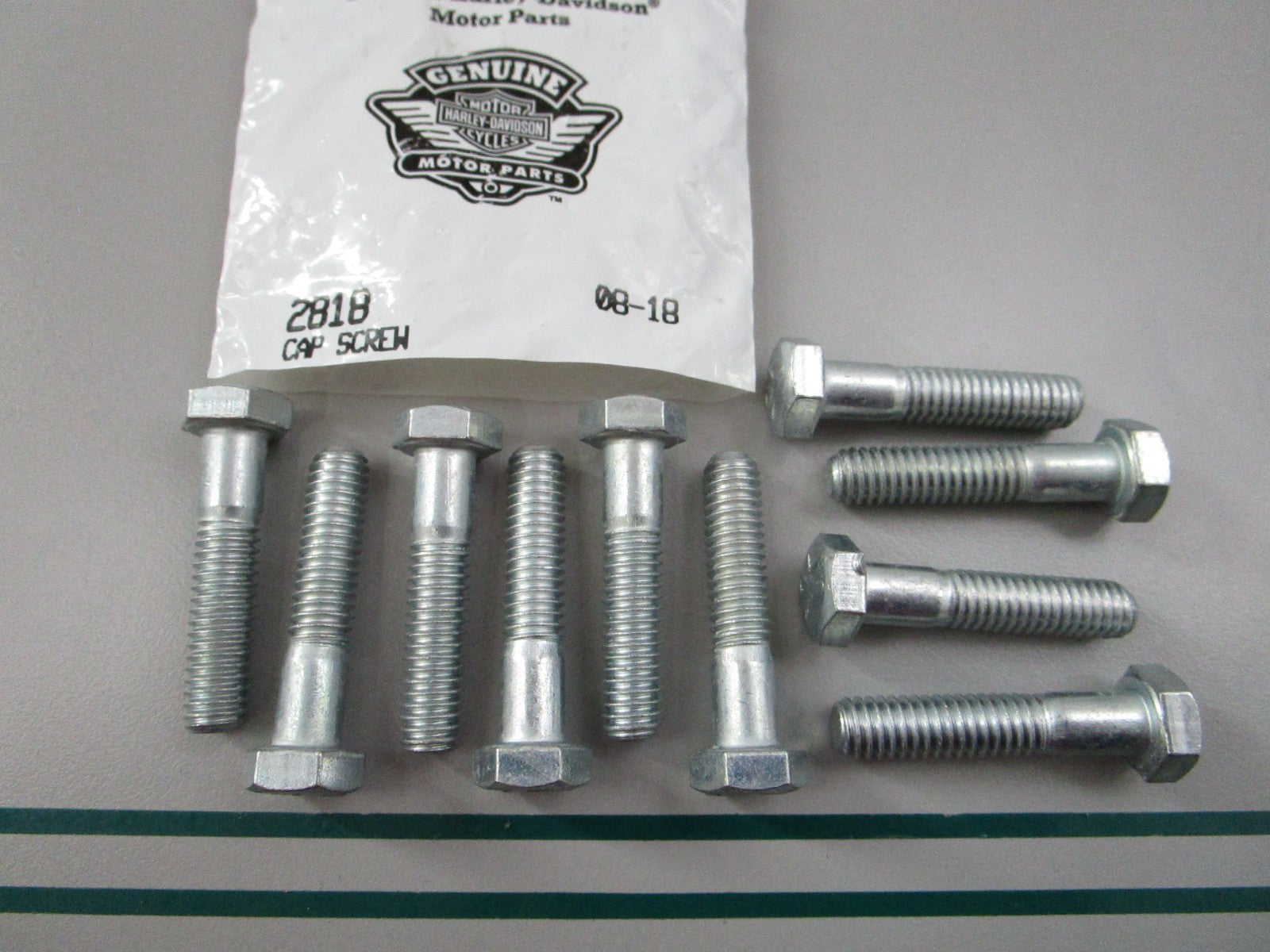 NEW OEM (LOT OF 10) 2818 Harley Davidson Screw 0810