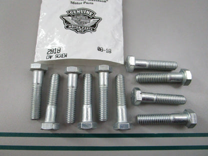 NEW OEM (LOT OF 10) 2818 Harley Davidson Screw 0810