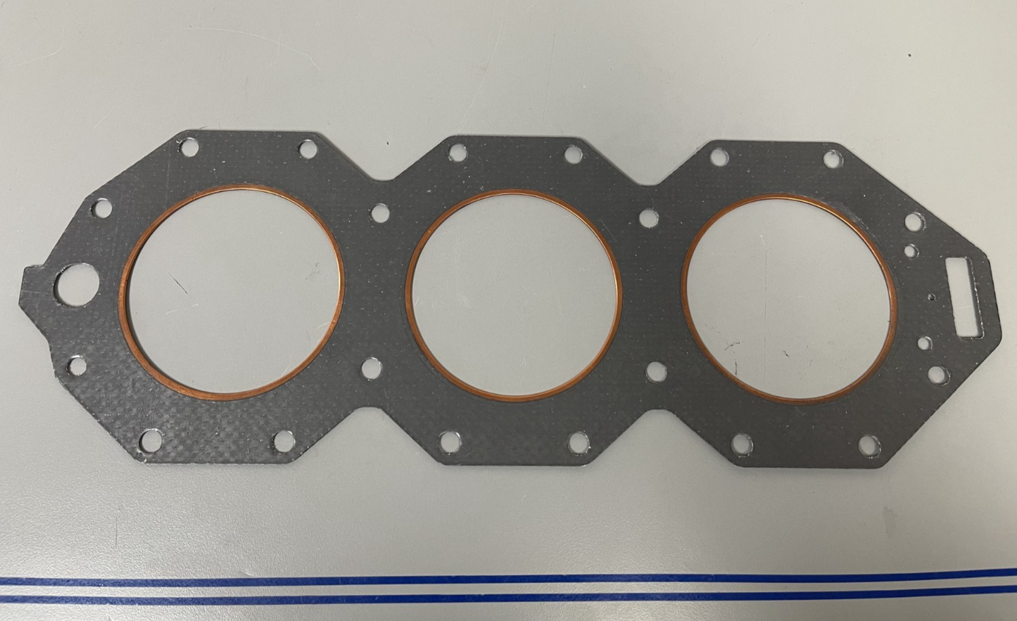 *NEW OEM* 0670 Sierra Gasket 18-3838 Replaces 331211