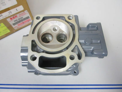 *NEW OEM* 0720 Suzuki 4hp 6hp 2005 2013-2016 Cylinder Head 11110-91J30