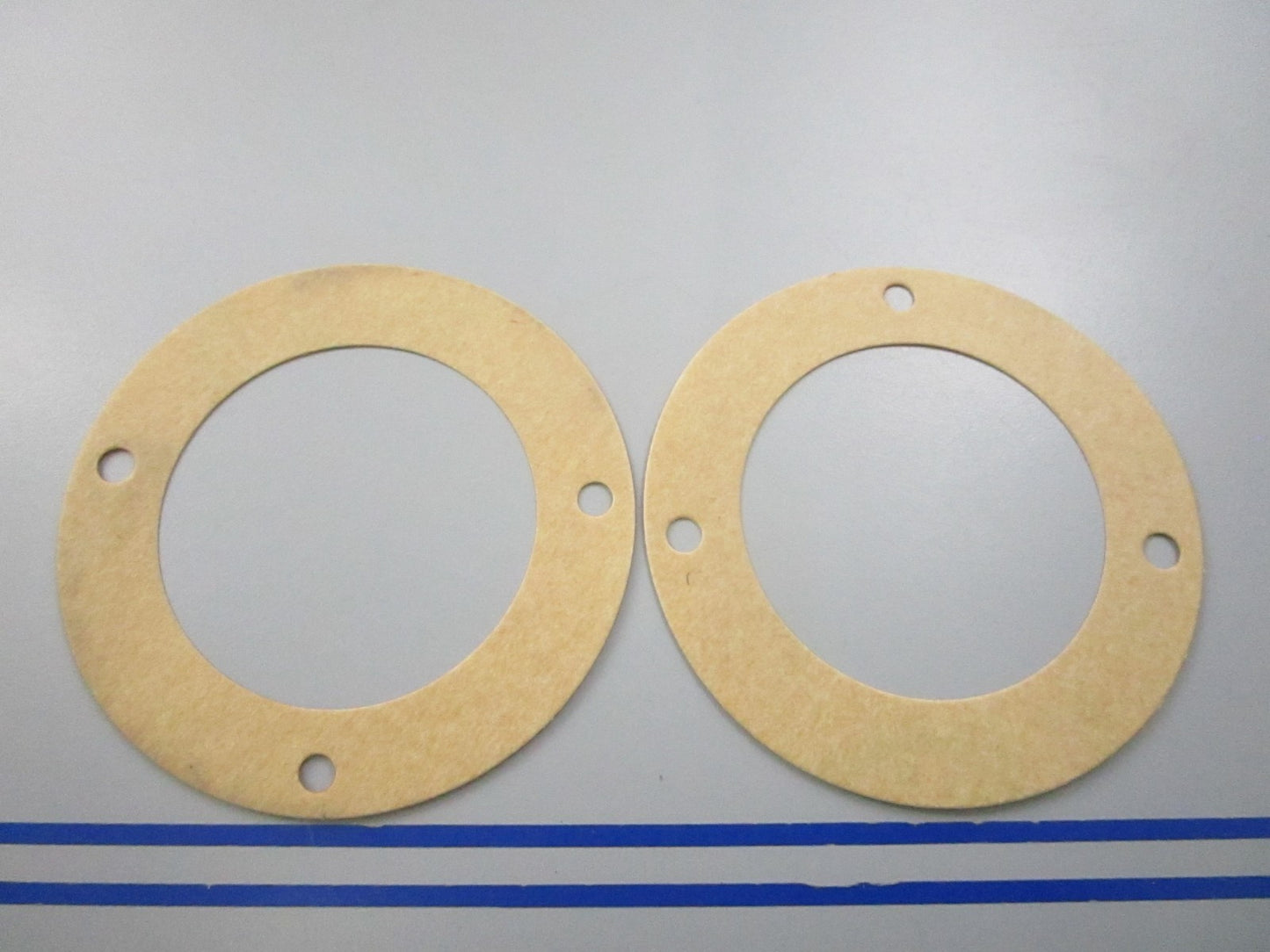 NEW OEM (LOT OF 12) 17472-93100 Suzuki Water Plate Gasket 0810