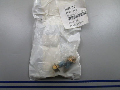 *NEW OEM* (LOT OF 2) 0810 Arctic Cat Cap Screw 1623-480