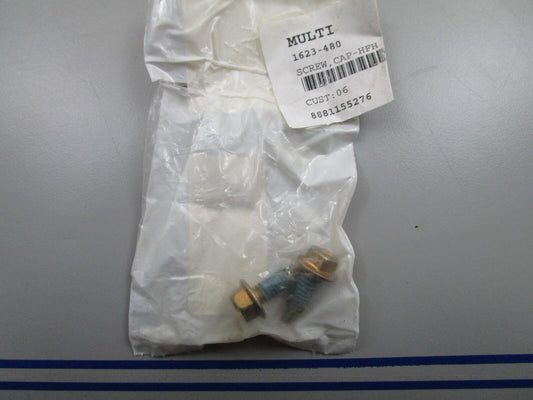 *NEW OEM* (LOT OF 2) 0810 Arctic Cat Cap Screw 1623-480