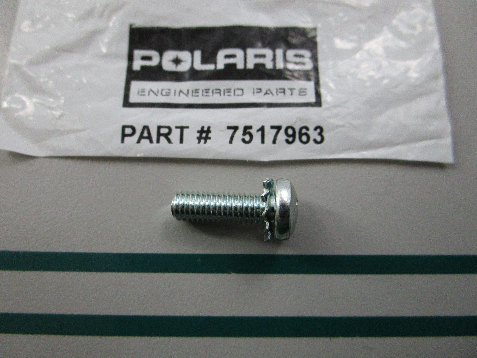 NEW OEM 7517963 Polaris Screw 0810