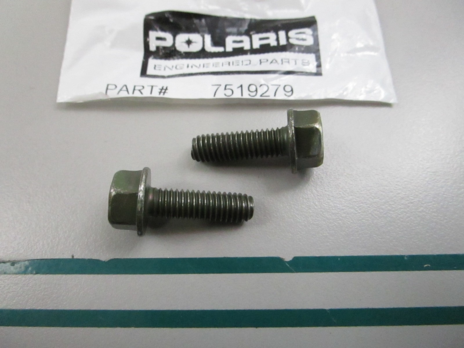 NEW OEM (LOT OF 2) 7519279 Polaris Screw 0810