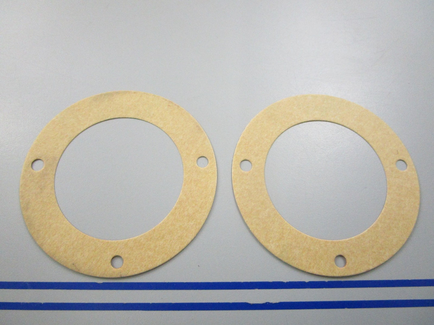 NEW OEM (LOT OF 12) 17472-93100 Suzuki Water Plate Gasket 0810