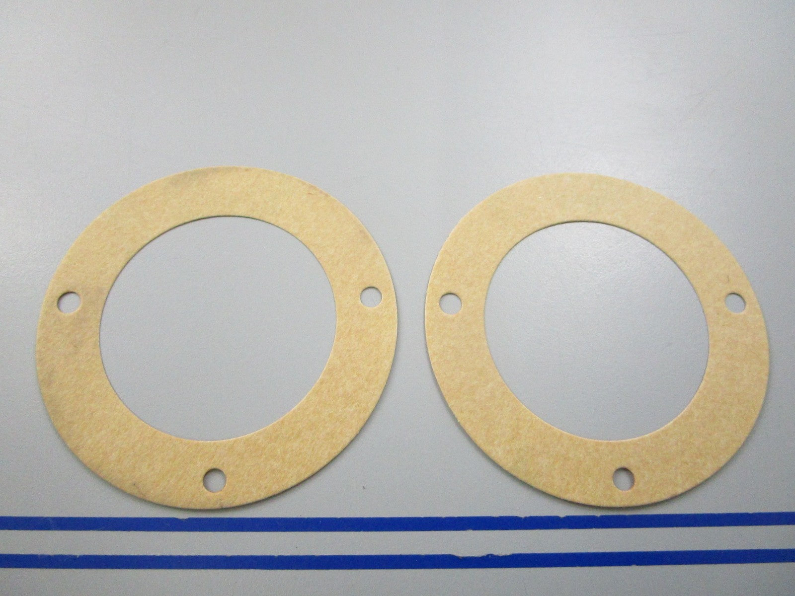 NEW OEM (LOT OF 12) 17472-93100 Suzuki Water Plate Gasket 0810