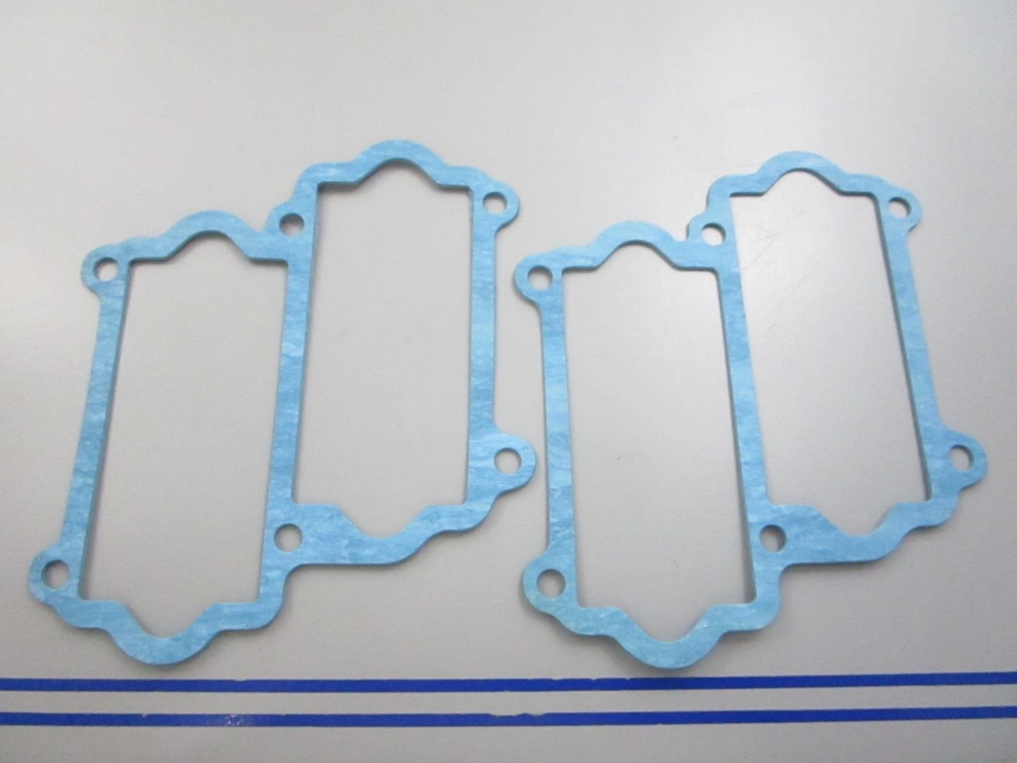 NEW OEM (LOT OF 2) 13121-87D10 Suzuki Gasket 0810