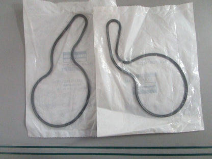 NEW OEM (LOT OF 2) 5812571 Polaris Water Pump Cover Seal 0820