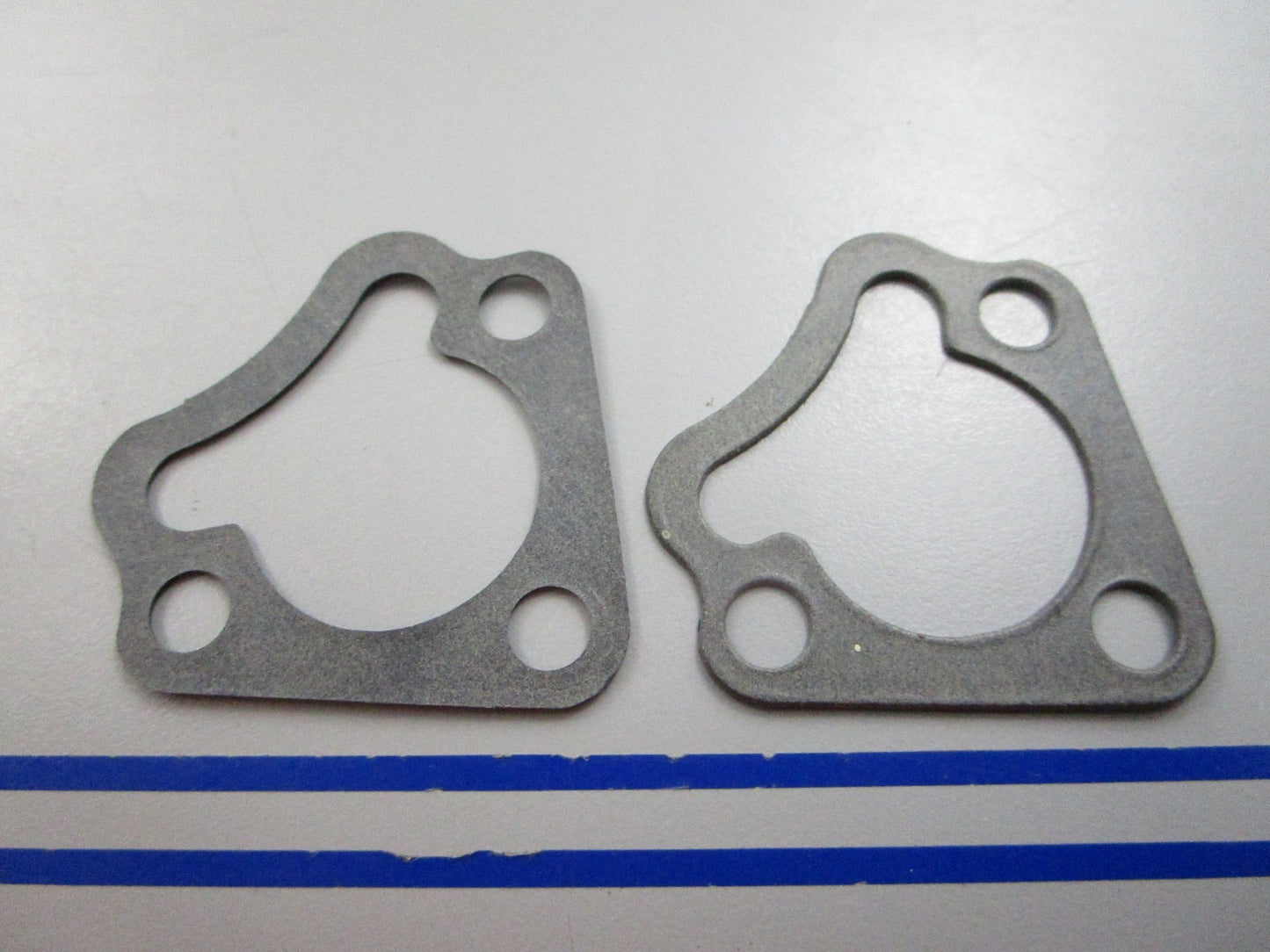 NEW OEM (LOT OF 2) 329076 0329076 OMC Johnson Evinrude Thermostat Gasket 0810