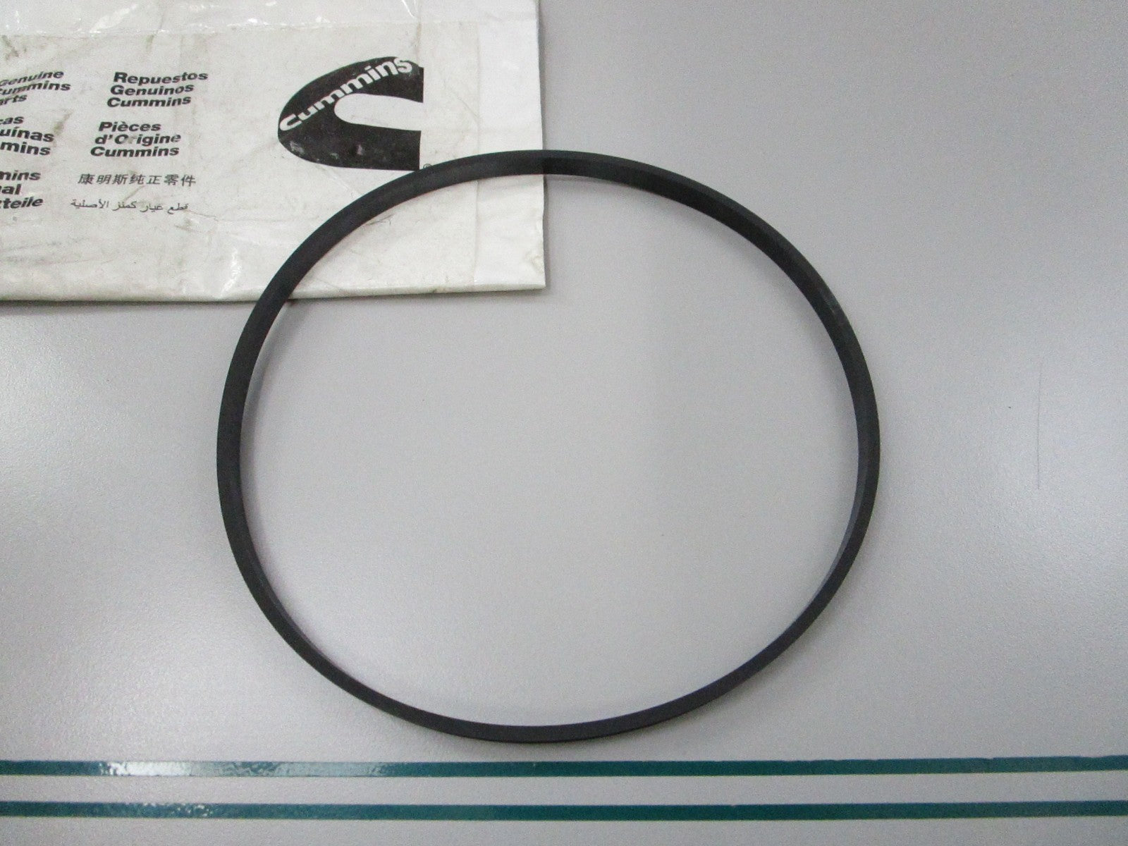 NEW OEM 3912473 Cummins O-Ring Seal 0810