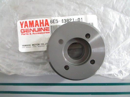 NEW OEM 6E5-43821-01-00 Yamaha Trim Cylinder End Screw 0820